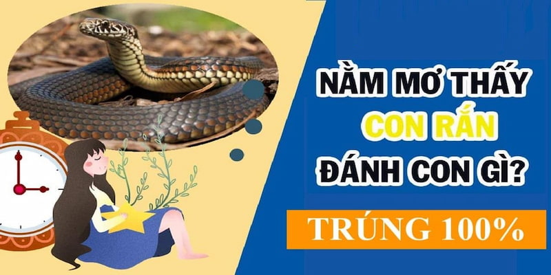 Nằm mơ thấy rắn đánh số gì?